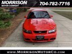 Thumbnail Photo 67 for 2003 Ford Mustang Cobra Coupe